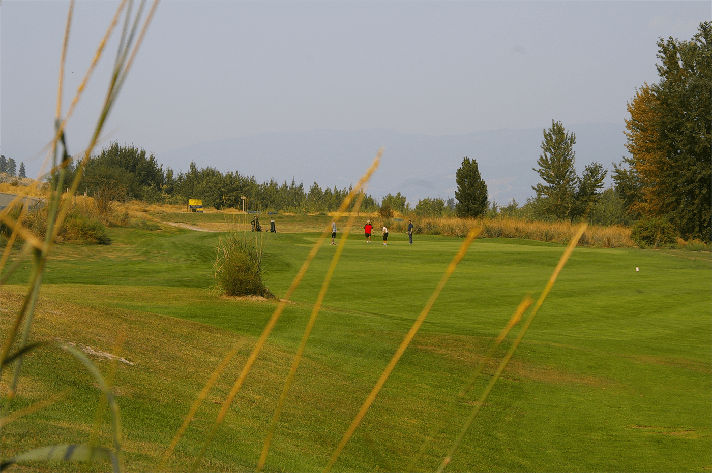 picture of Skaha Meadows Golf Course